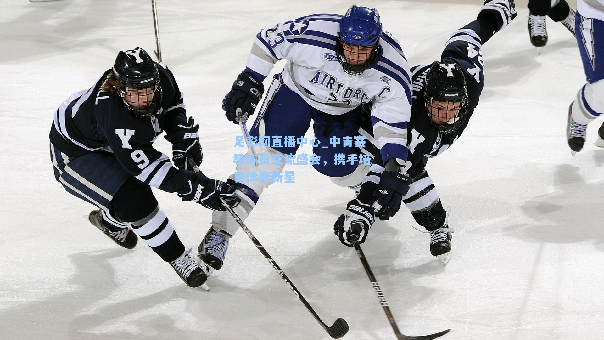 中青赛教练员交流盛会，携手培育体育新星