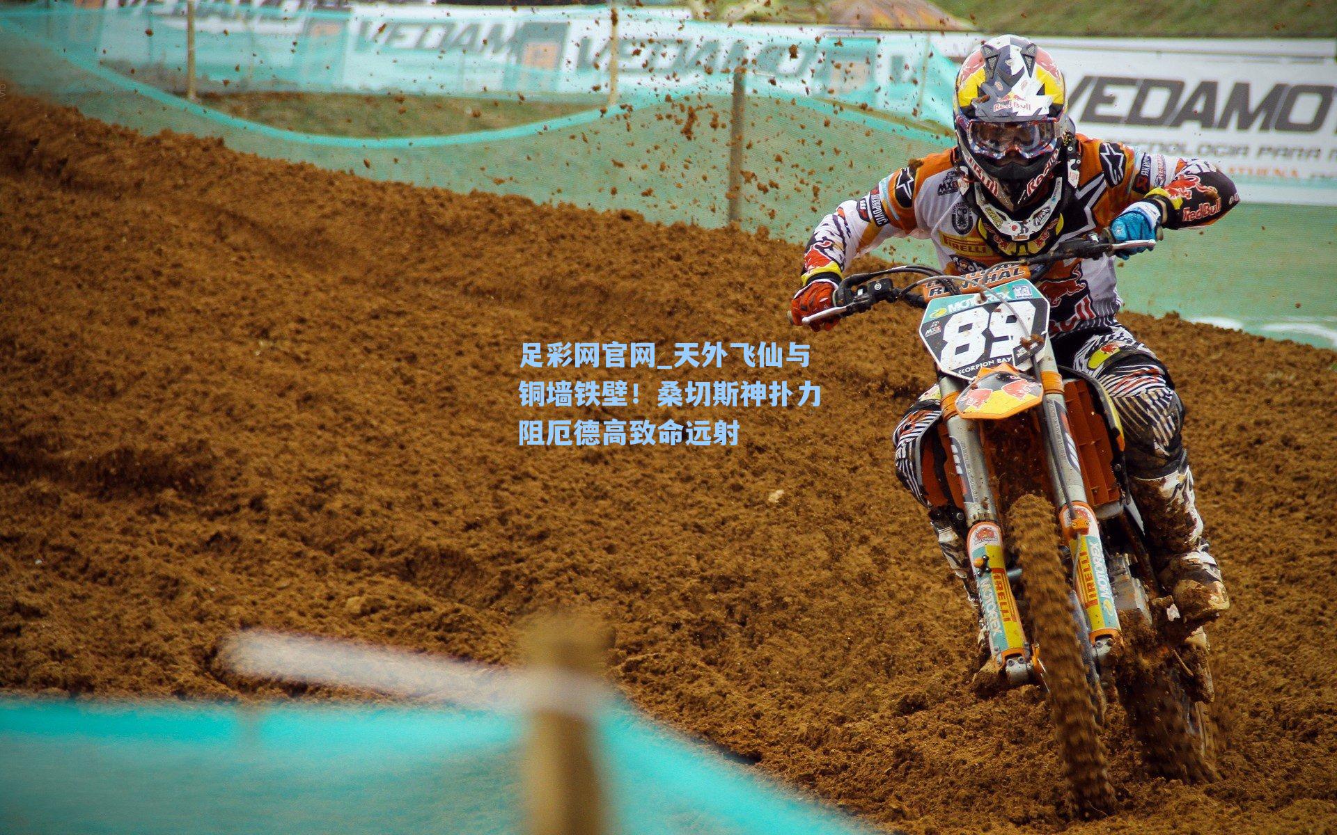 天外飞仙与铜墙铁壁！桑切斯神扑力阻厄德高致命远射