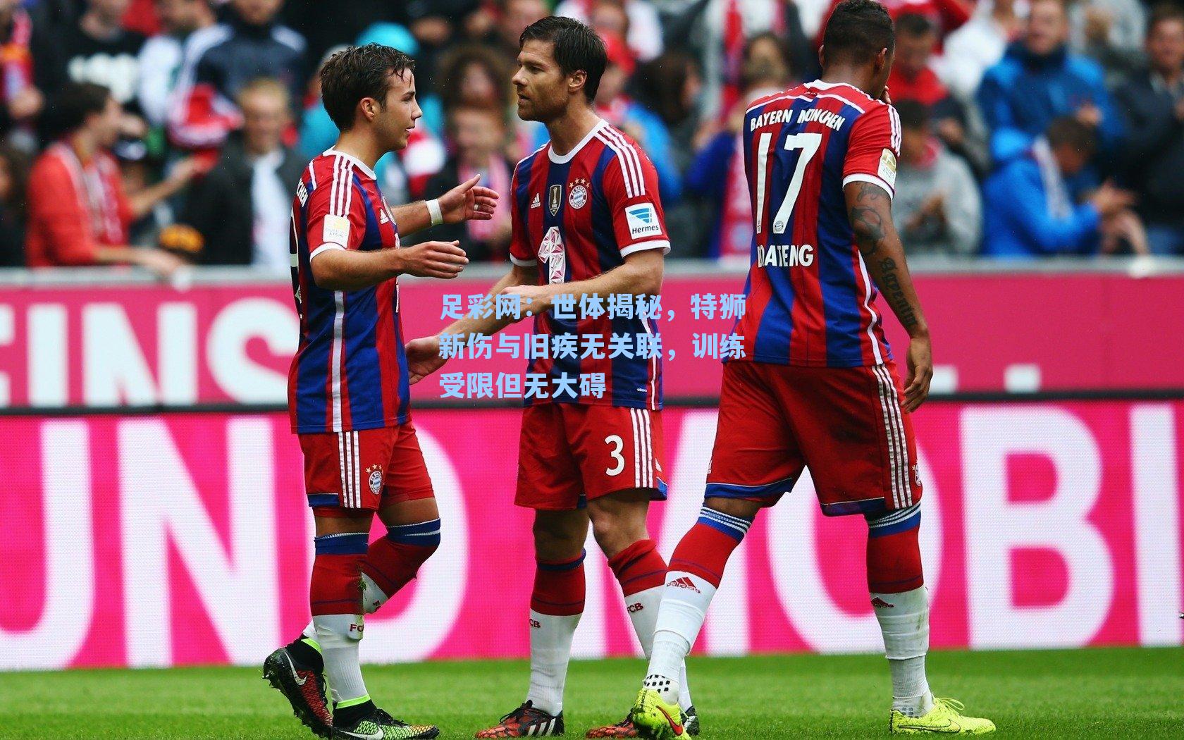 足彩网：世体揭秘，特狮新伤与旧疾无关联，训练受限但无大碍