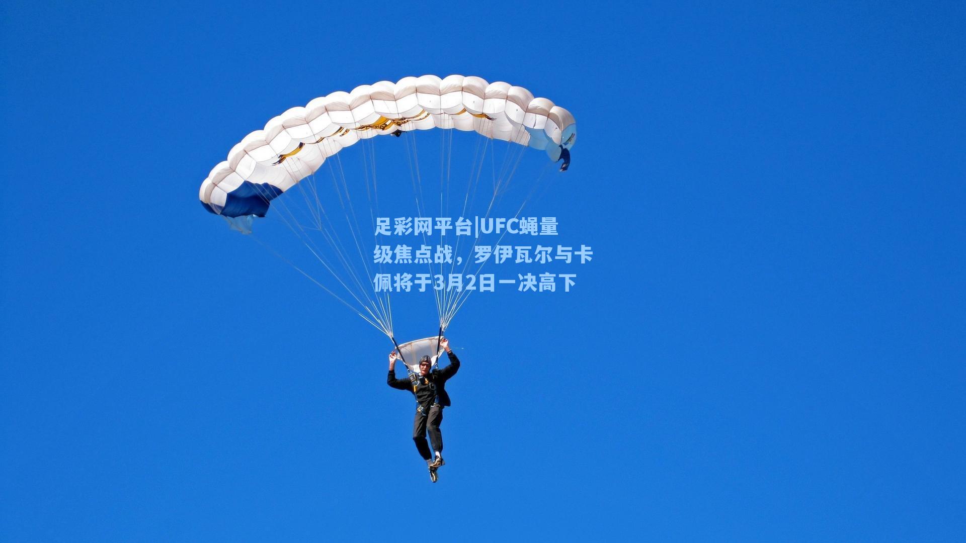 足彩网平台|UFC蝇量级焦点战，罗伊瓦尔与卡佩将于3月2日一决高下